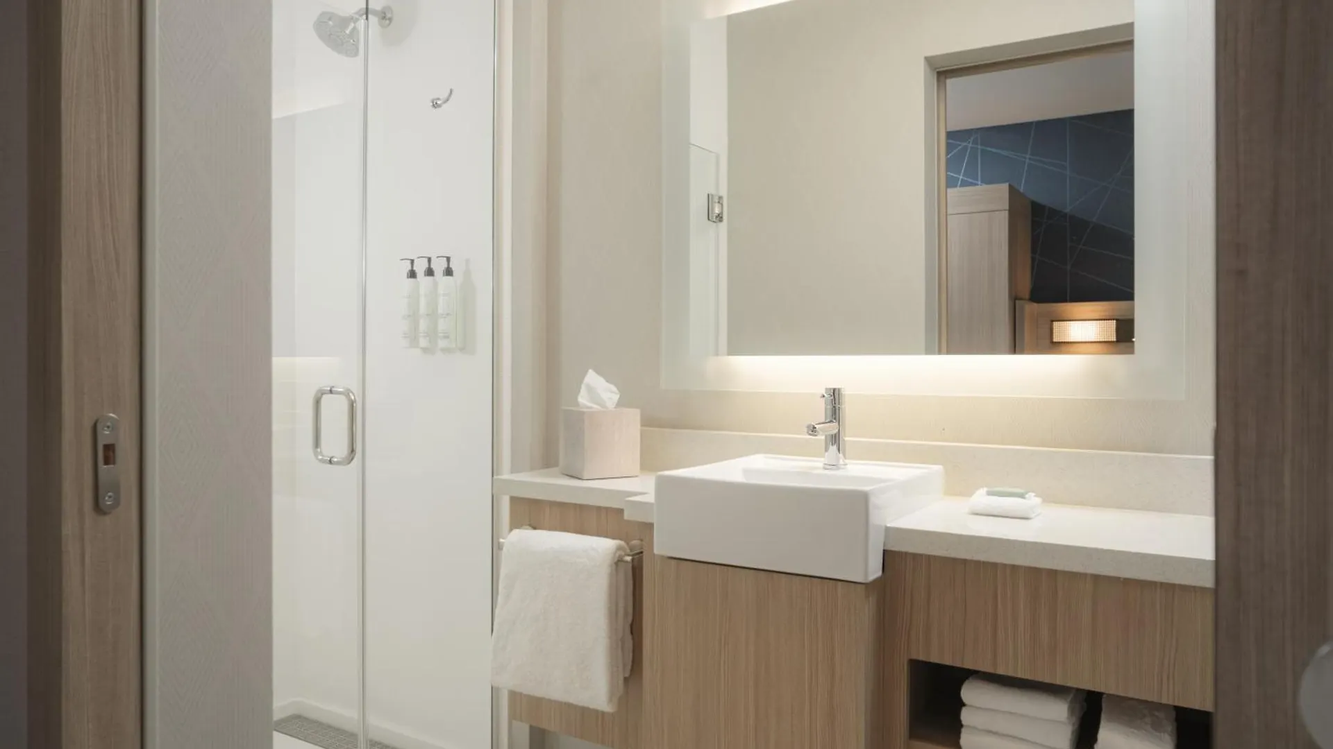 Springhill Suites By Marriott Tampa Downtown