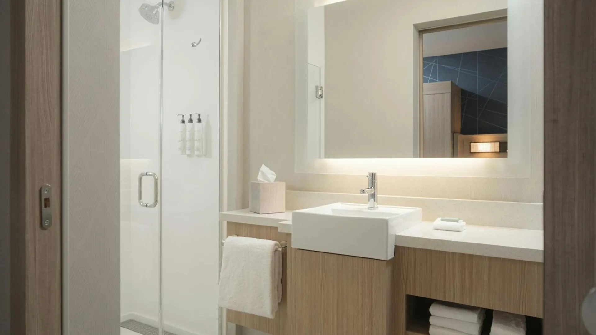 Springhill Suites By Marriott Tampa Downtown Ξενοδοχείο